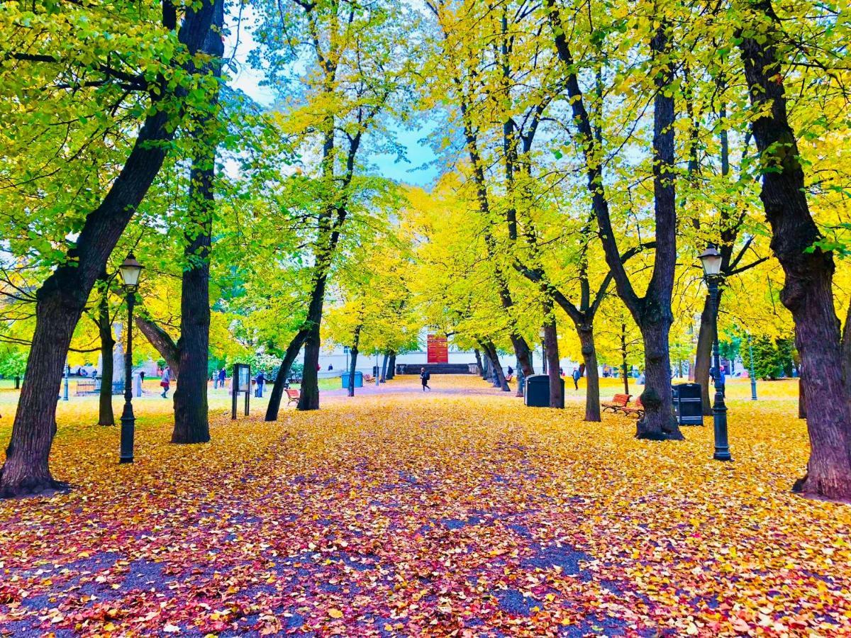 Scandinavian Home 21 In Heard City Helsinki Dış mekan fotoğraf